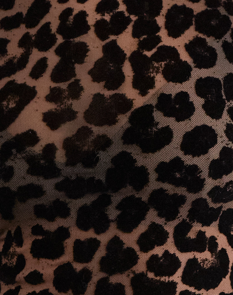 Angelica | Leopard Mesh Top